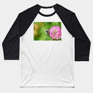 Common carder bee Baseball T-Shirt